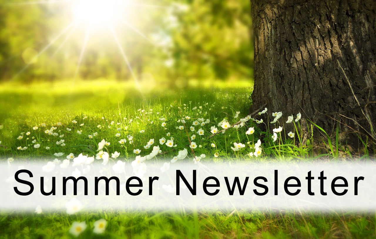 Summer Newsletter Article Image